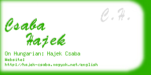 csaba hajek business card